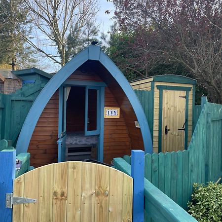 Glamping In The 2Nd Field Hotel Aughrim Buitenkant foto