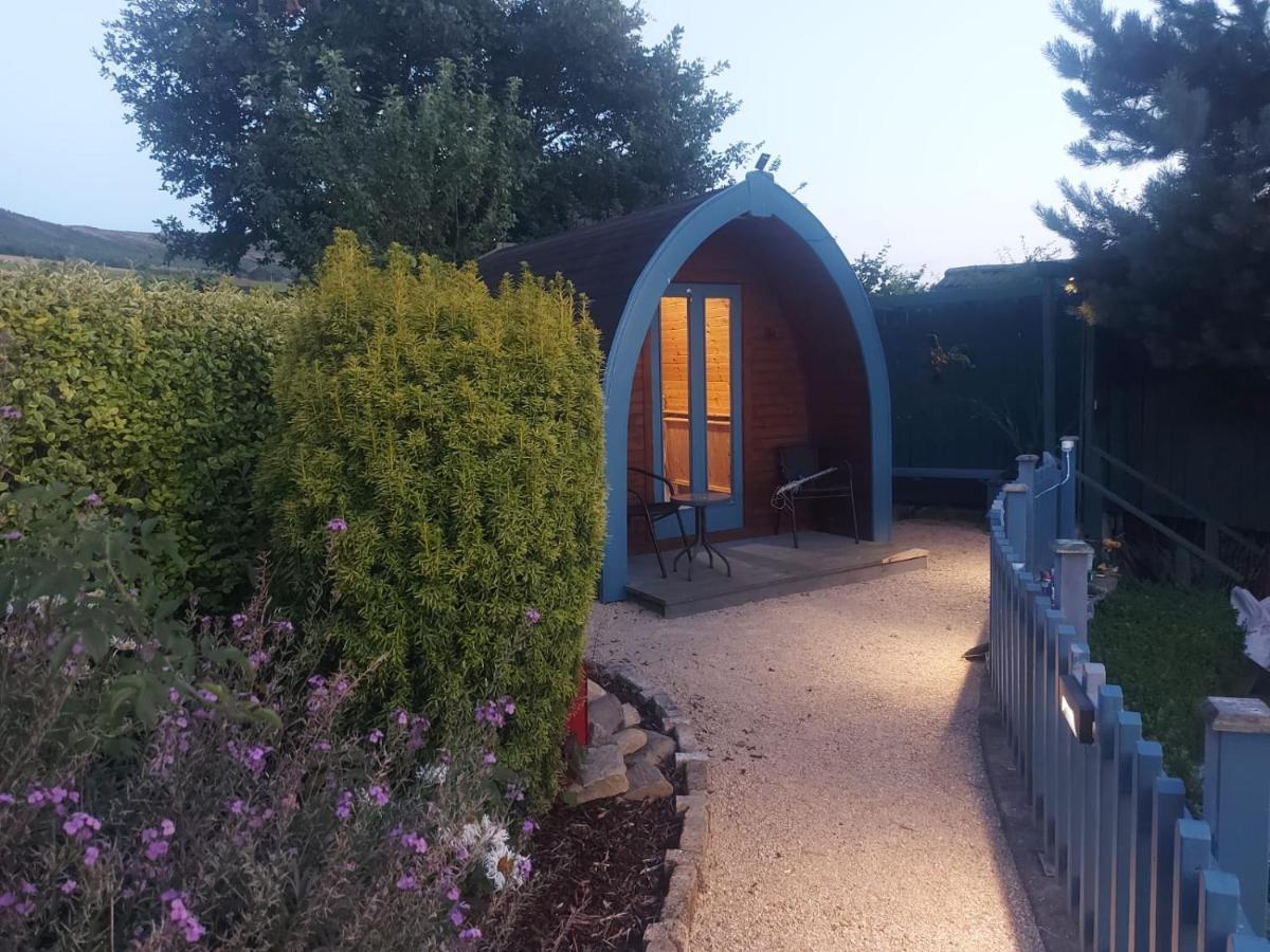 Glamping In The 2Nd Field Hotel Aughrim Buitenkant foto